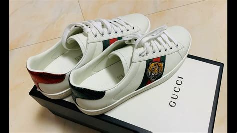 marinerocean gucci ace